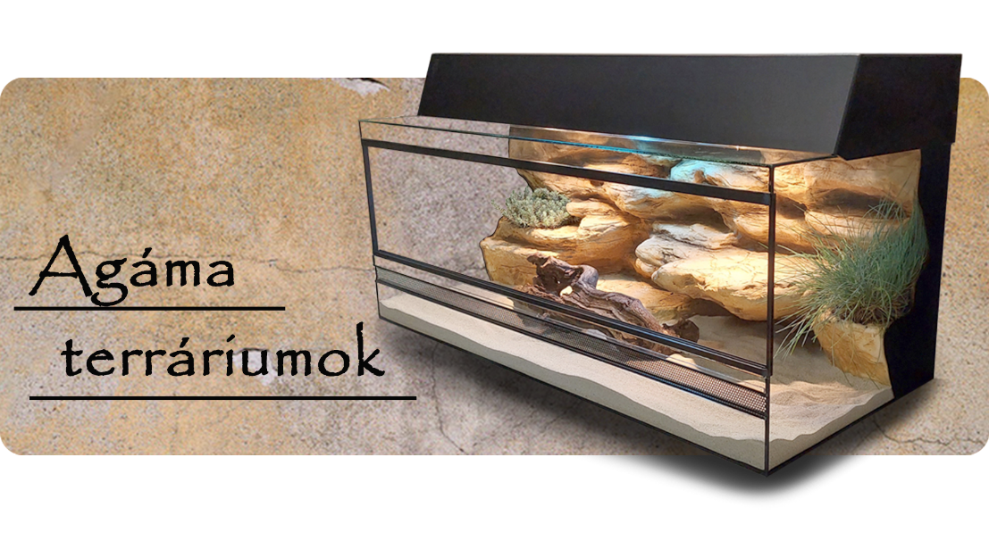 Agáma terráriumok