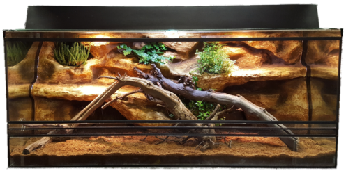 Király piton terrárium