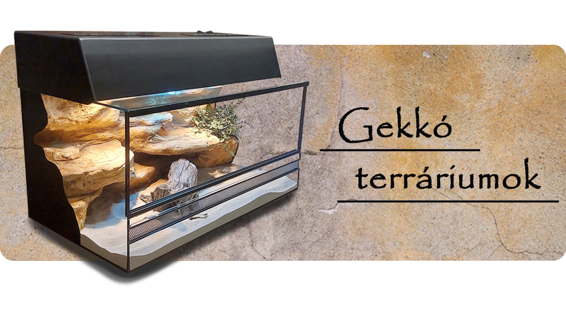 Gekkó terráriumok