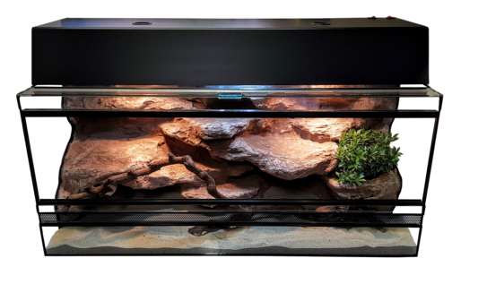 Leopárd Gekkó Terrárium