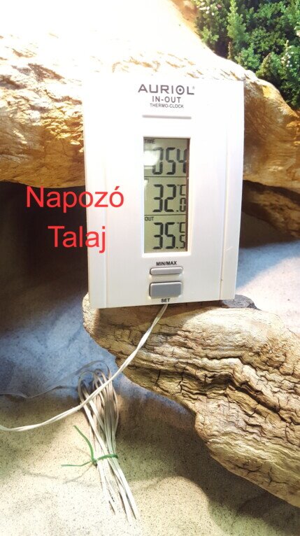 Terrárium talajfűtés