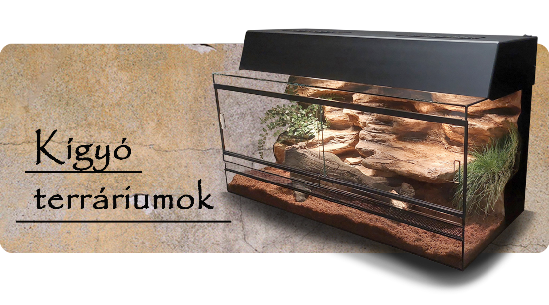 Kígyó terráriumok