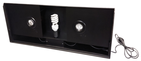 Világítás terráriumra