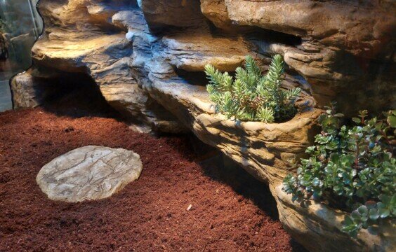 Görögteknős terrárium