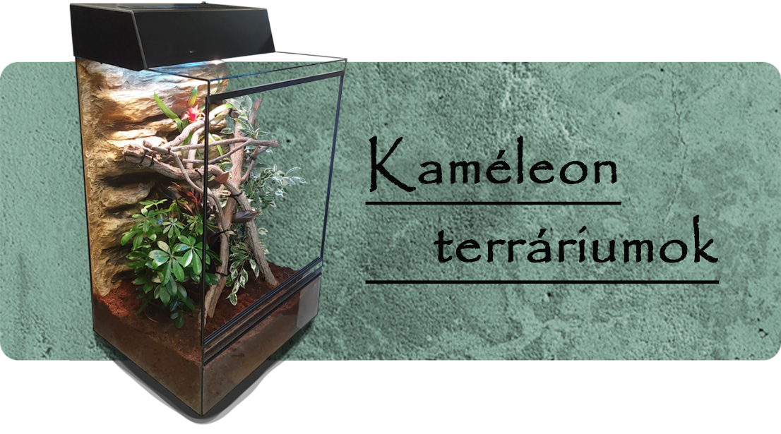 Kaméleon terráriumok